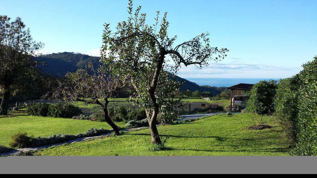 Sostio A Levante Framura Luaran gambar